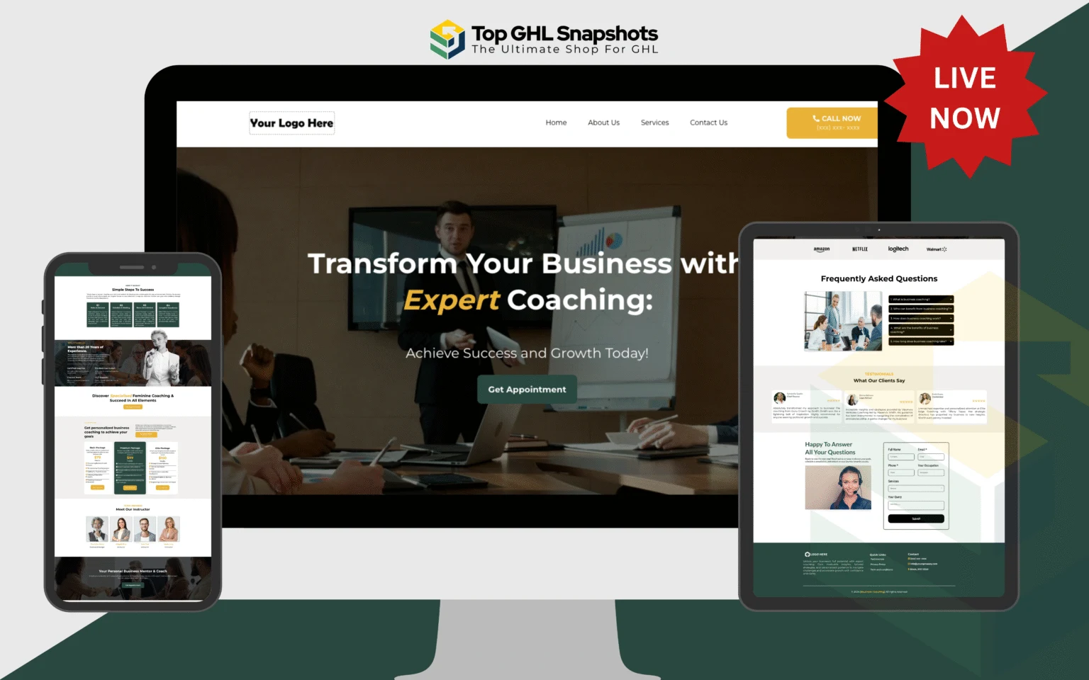 Business Coaching Snapshot
