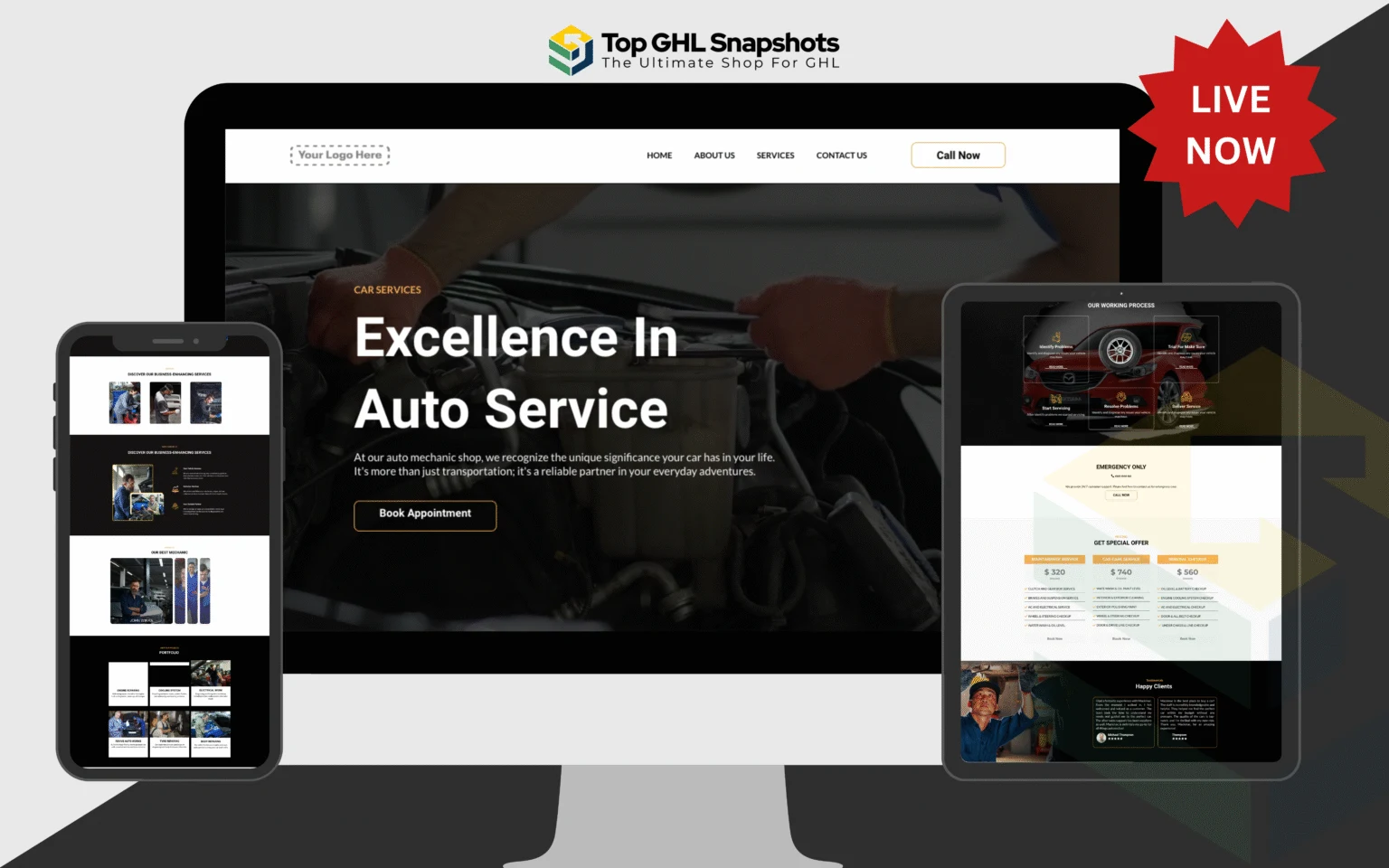 Car Mechanic Snapshot