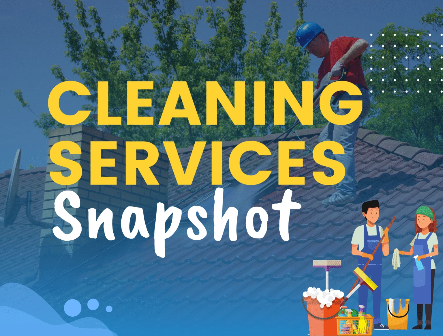 Cleaning Services Snapshot