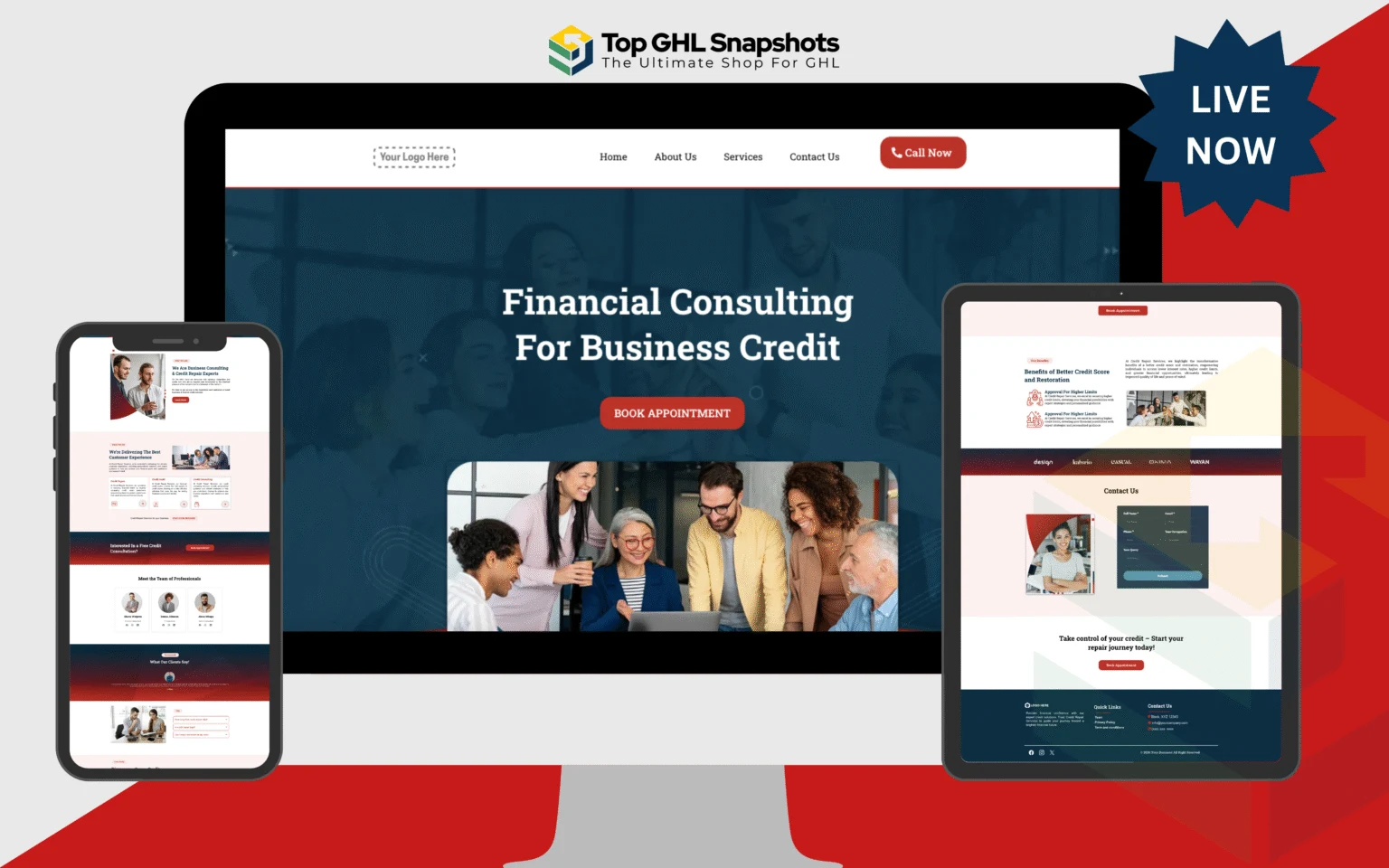 Credit Repair Snapshot