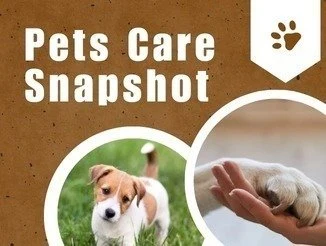 Pet Care Snapshot