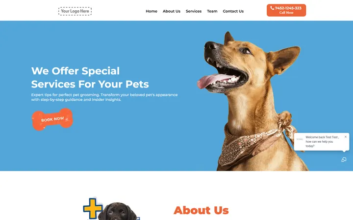 Pet Care GoHighLevel funnel version 1 home page design